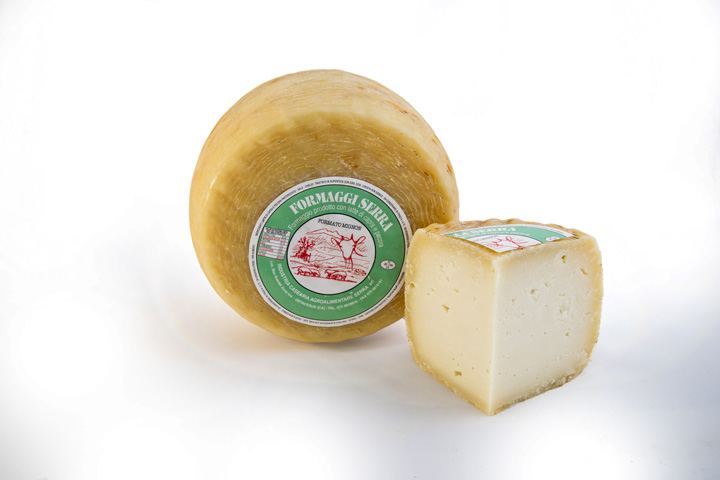 Pecorino Cheese Mignon Sheep – Caseificio Serra